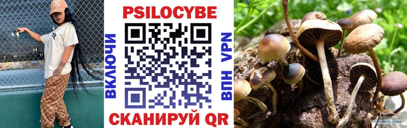 Псилоцибиновые грибы прущие грибы  Феодосия 