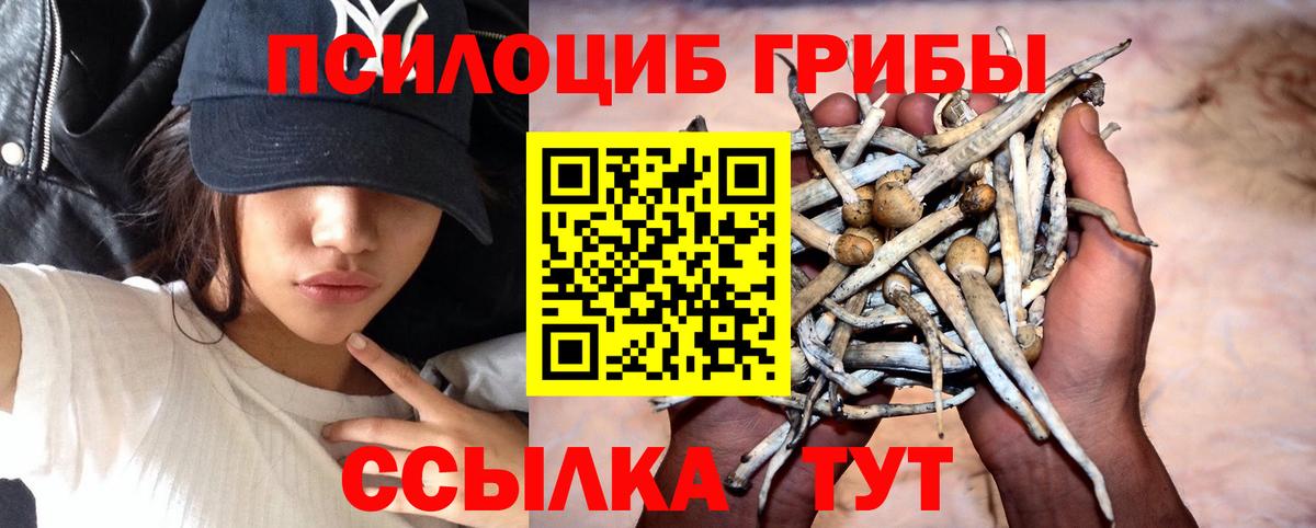Галлюциногенные грибы Cubensis  наркошоп  Феодосия  Вход с VPN 